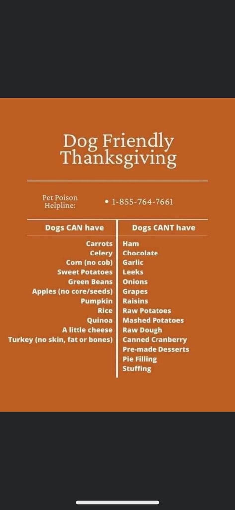 Safe and Unsafe Thanksgiving Treats for Pups